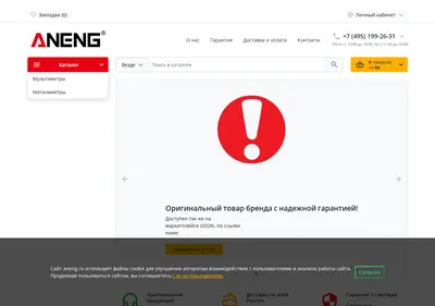 Снимок главной страницы aneng.ru