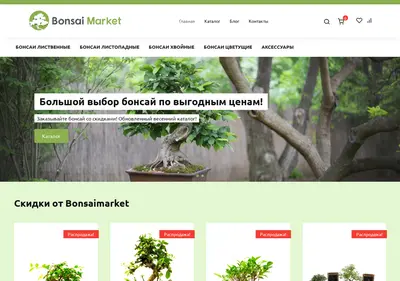 Снимок главной страницы bonsaimarket.ru