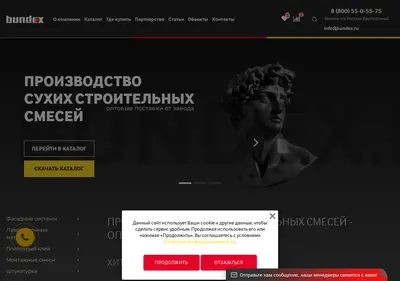 Снимок главной страницы bundex.ru