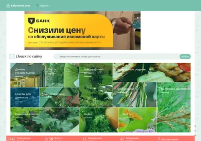 Снимок главной страницы babushkinadacha.ru