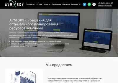 Снимок главной страницы avmsky.ru