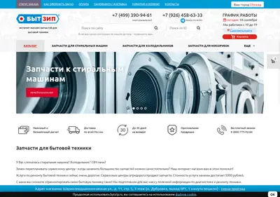 Снимок главной страницы bytzip.ru