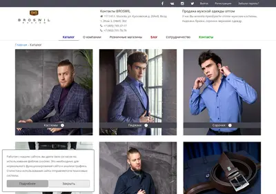 Снимок главной страницы broswil.ru