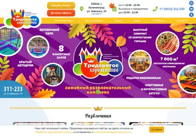 Снимок главной страницы 39korolevstvo.ru
