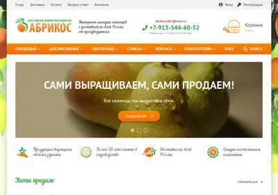 Снимок главной страницы abrikossibir.ru