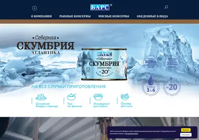 Снимок главной страницы bars-ltd.ru