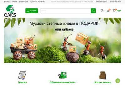 Снимок главной страницы 4ants.ru