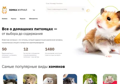 Снимок главной страницы homka.su