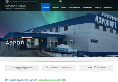Снимок главной страницы avianadym.ru