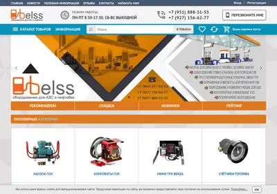Снимок главной страницы belss.ru
