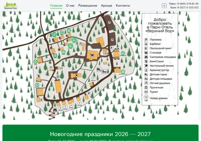 Снимок главной страницы bor-samara.ru