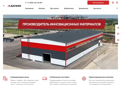 Снимок главной страницы bauchem.ru