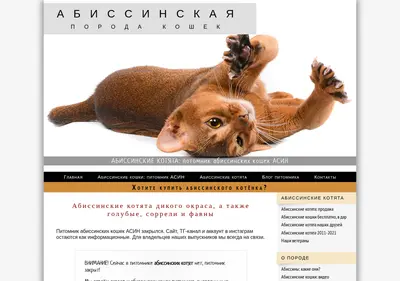 Снимок главной страницы asin-abik.ru