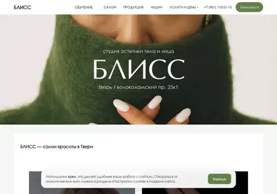 Снимок главной страницы blisstver.ru
