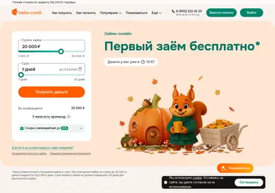 Снимок главной страницы belkacredit.ru