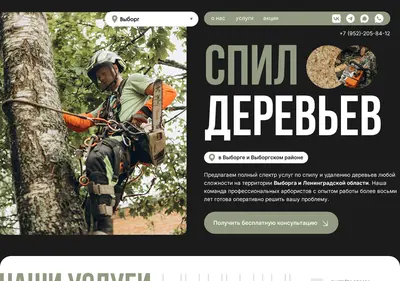 Снимок главной страницы arbvbg.ru