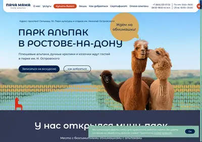 Снимок главной страницы alpakanadonu.ru