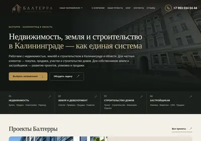 Снимок главной страницы balterra.ru