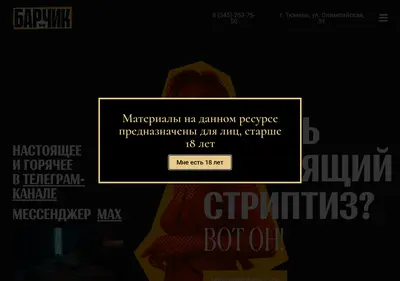 Снимок главной страницы barchik72.ru