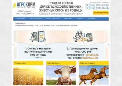 Снимок главной страницы agrokormspb.ru