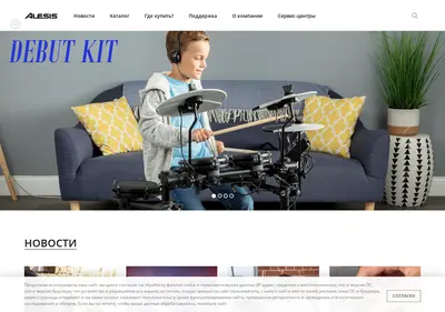 Снимок главной страницы alesis.ru