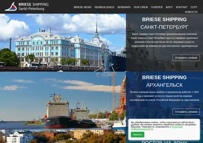 Снимок главной страницы briese.ru