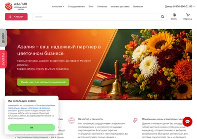 Снимок главной страницы azaliagroup.ru