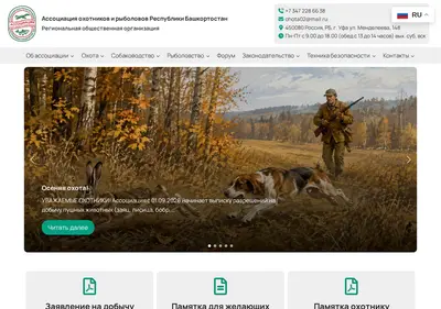 Снимок главной страницы aoirrb.ru