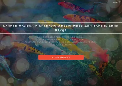 Снимок главной страницы alexfx.ru