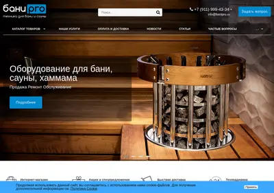 Снимок главной страницы banipro.ru