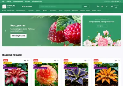 Снимок главной страницы agrosad-market.ru