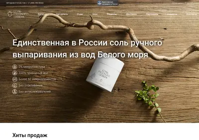 Снимок главной страницы arcticsalt.ru