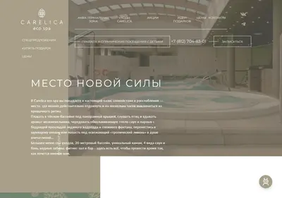 Снимок главной страницы carelicaspa.ru
