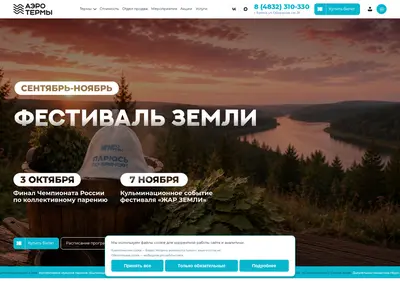 Снимок главной страницы aeroterms.ru