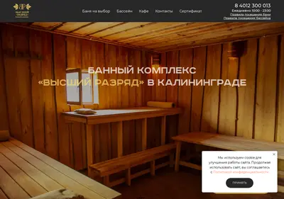 Снимок главной страницы bvr39.ru