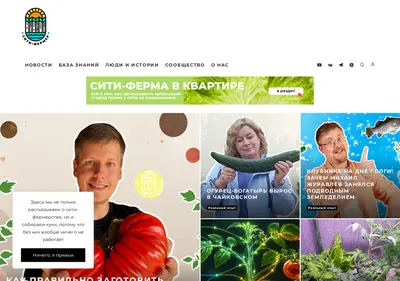 Снимок главной страницы city-farmer.ru