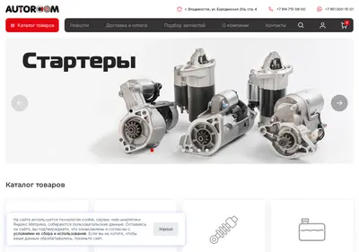 Снимок главной страницы autoroom25.ru