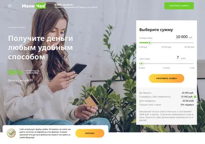 Снимок главной страницы check-money.su