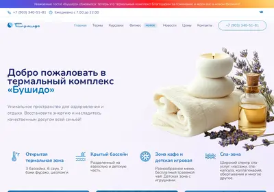 Снимок главной страницы bushidopark.ru