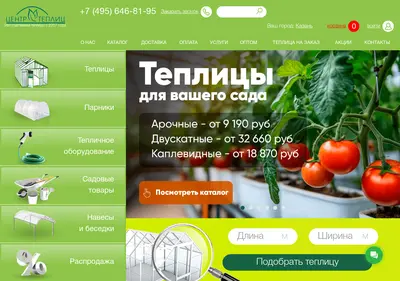 Снимок главной страницы 2dum.ru