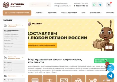 Снимок главной страницы antsminsk.ru
