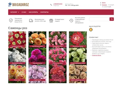 Снимок главной страницы brigadaroz.ru