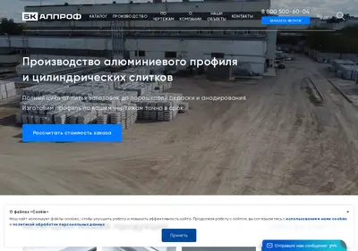 Снимок главной страницы bkalprof.ru