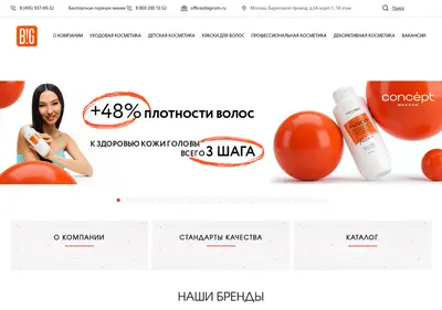 Снимок главной страницы bigcom.ru