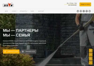 Снимок главной страницы bisongenerator.ru