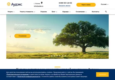 Снимок главной страницы audex.ru