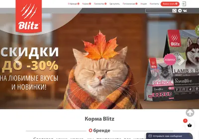 Снимок главной страницы blitzpet.ru