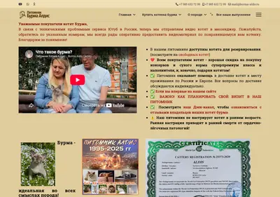Снимок главной страницы burma-aldis.ru