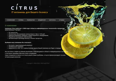 Снимок главной страницы citrus-it.ru