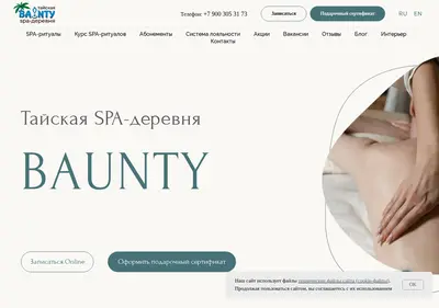 Снимок главной страницы baunty-spa-vrn.ru